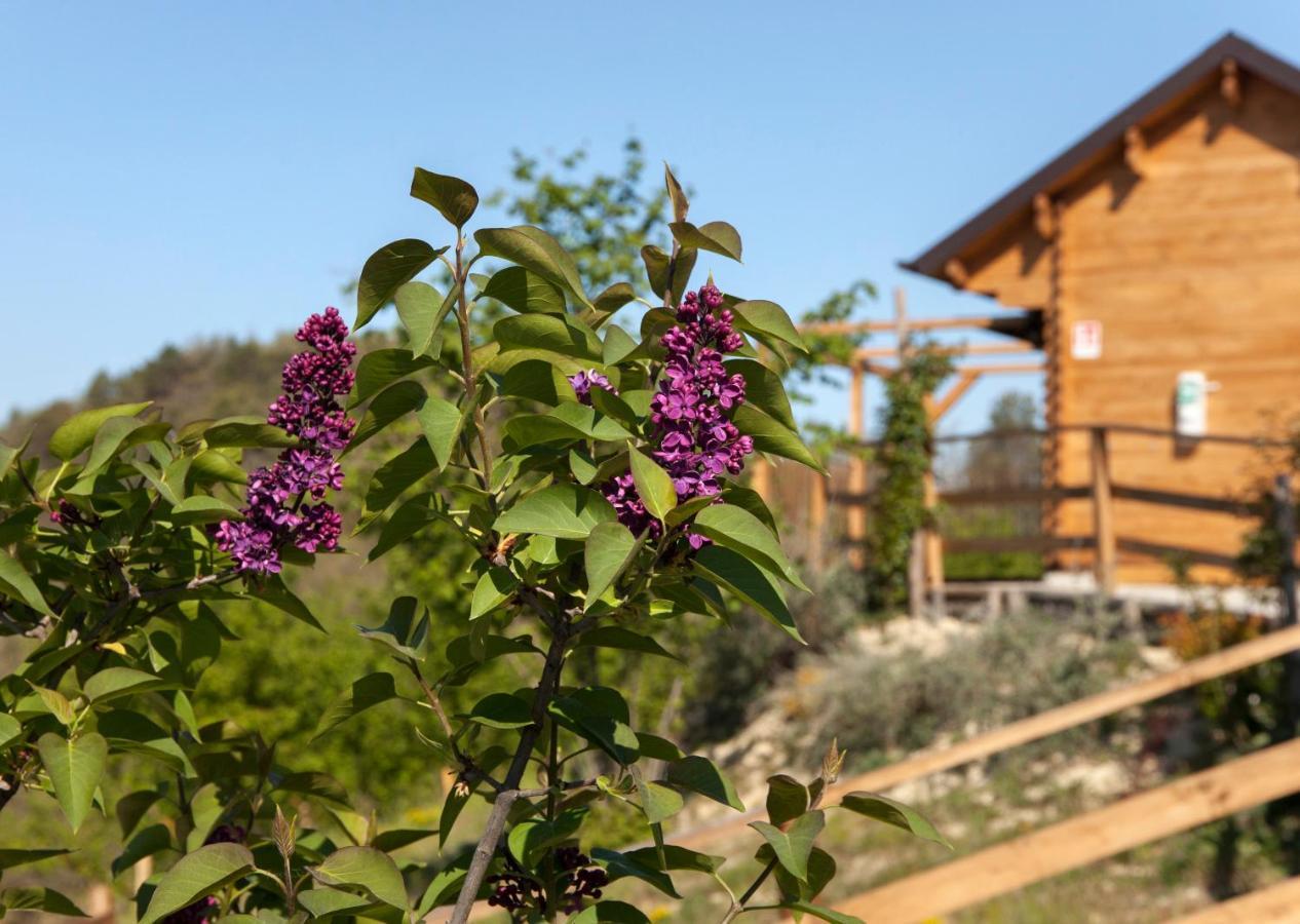 Pian Del Mund Hotel Borgomale Kültér fotó